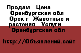 Продам › Цена ­ 3 000 - Оренбургская обл., Орск г. Животные и растения » Услуги   . Оренбургская обл.